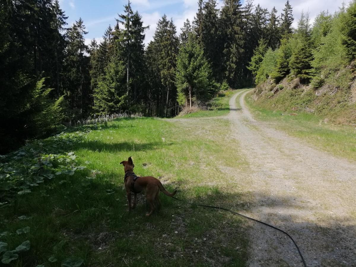 Modernisierte Ferienwohnung Im Schoenen Sauerland Meschede Luaran gambar